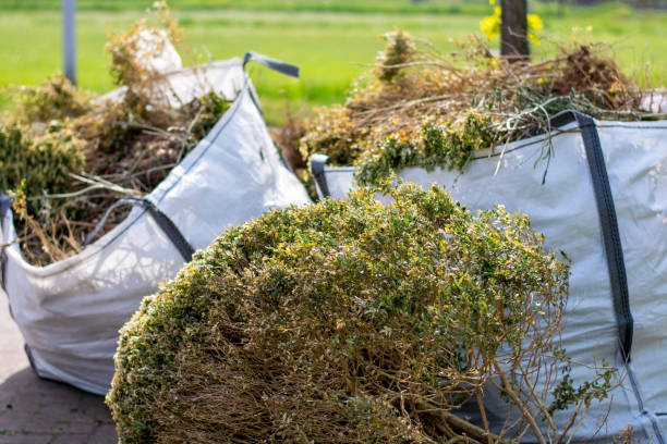 Best Residential Junk Removal  in Litchfield, IL